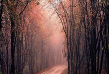 [CBA]郭艾伦 常回家看看.