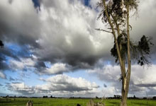 开云体育:1-1,恩加德乌染红酿苦果,10人北京国安遭中超第11逼平,2轮不胜.