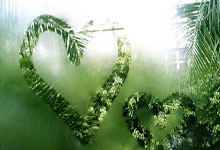 开云体育：WTA马德里站公布参赛阵容：萨巴伦卡领衔，郑钦文王欣瑜直接入围.