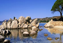 开云体育：4-4！威尔逊连胜两局战平特鲁姆普，球员锦标赛.